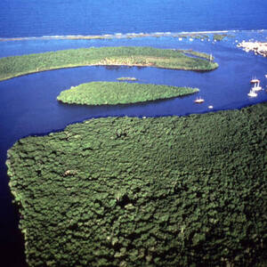 Discovery Coast Atlantic Forest Reserves