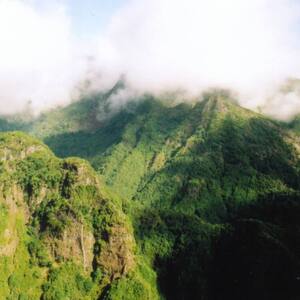 Laurisilva of Madeira