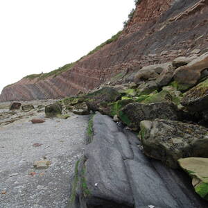Joggins Fossil Cliffs