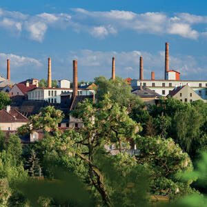 Žatec and the Landscape of Saaz Hops